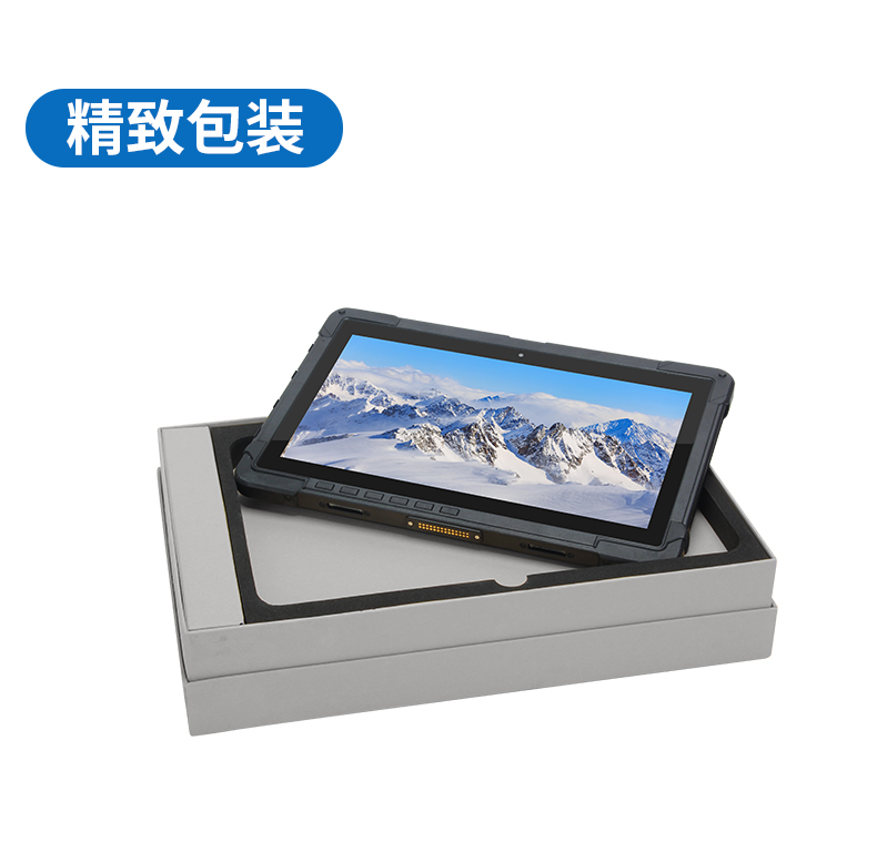 10Ӣ繤ҵƽ,IP65ӹƽ,DTZ-I1108E.jpg