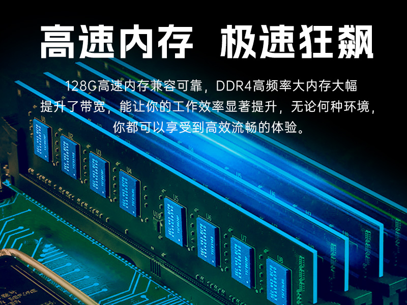 ڹʽBB,12ԭװ,DT-5309-IZ790MA