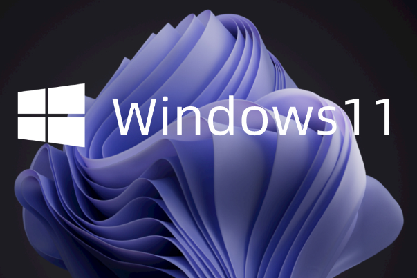Windows 11ϵͳ.png